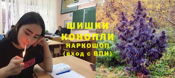 индика Михайловка