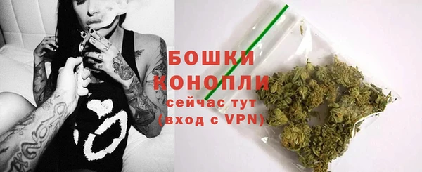 индика Михайловка