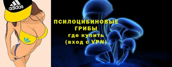 индика Михайловка