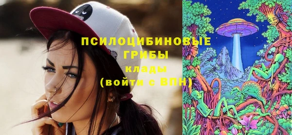 индика Михайловка