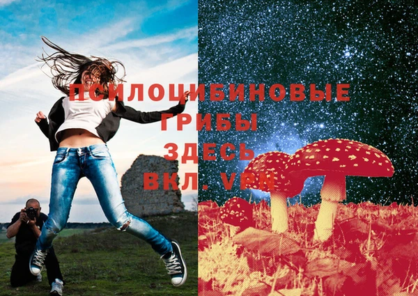 меф Михайловск