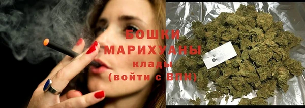 индика Михайловка